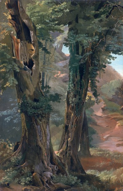 Old Elms by Friedrich Nerly